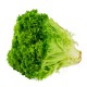 Салат зелёный